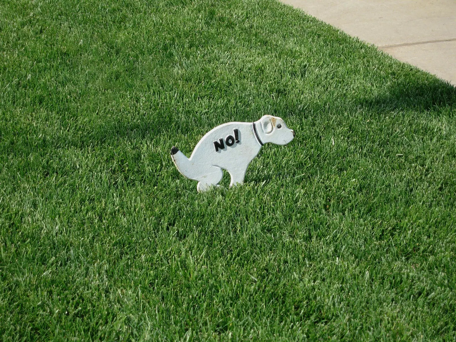 Garden Maintenance