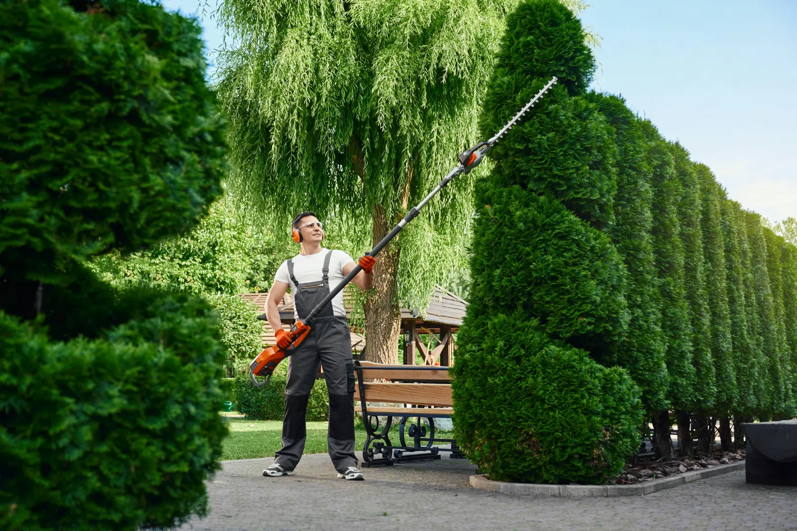 Seasonal Tidy Ups